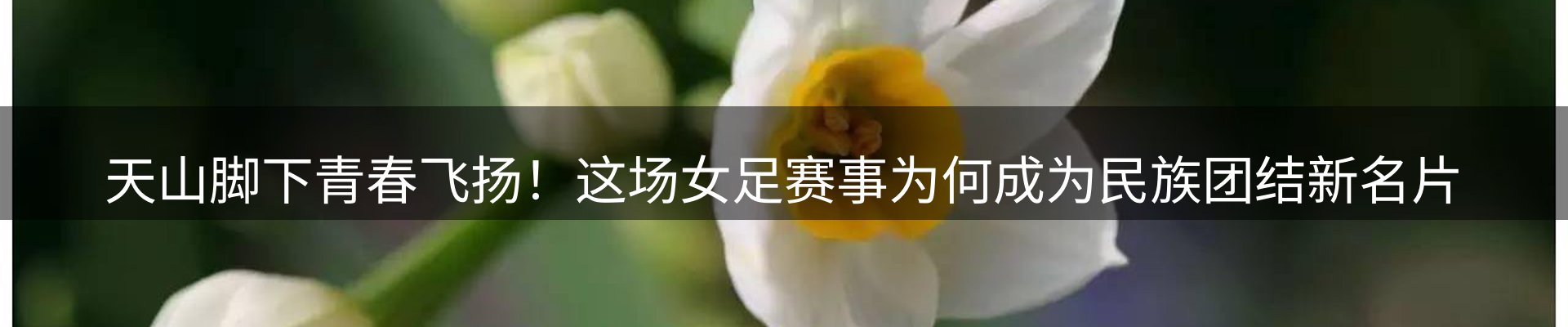 热点视点