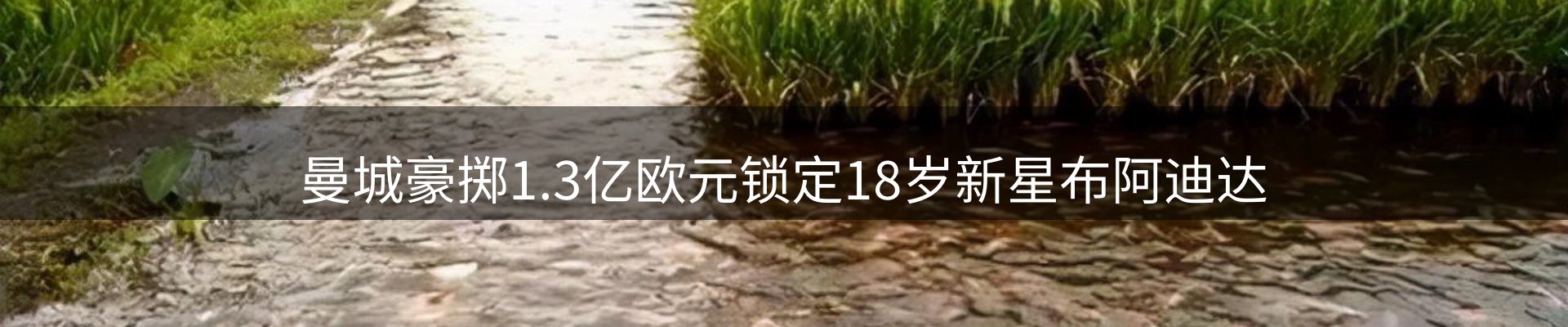 热点视点