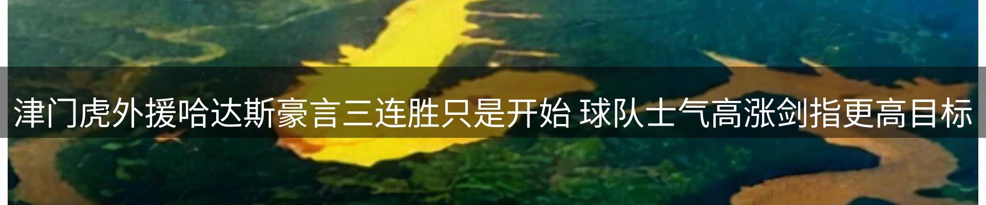 资讯中心