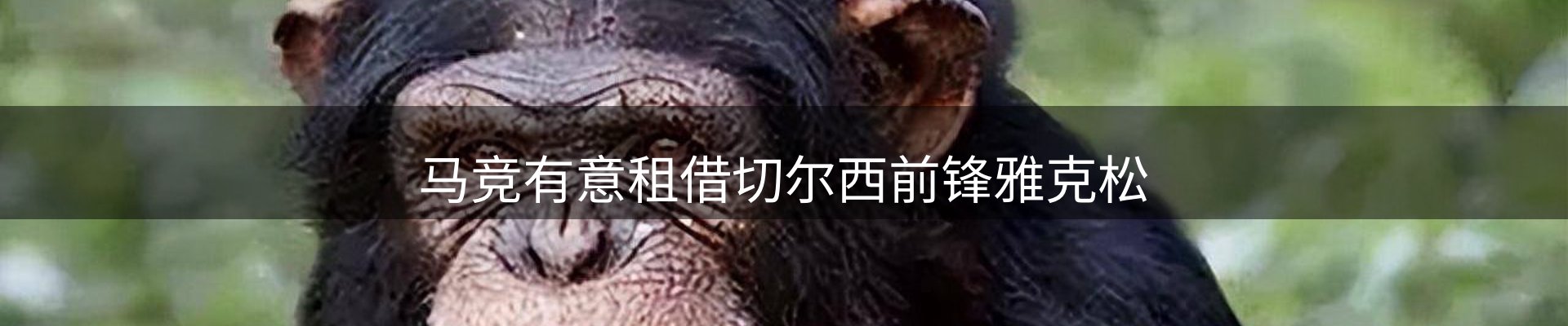 热点视点